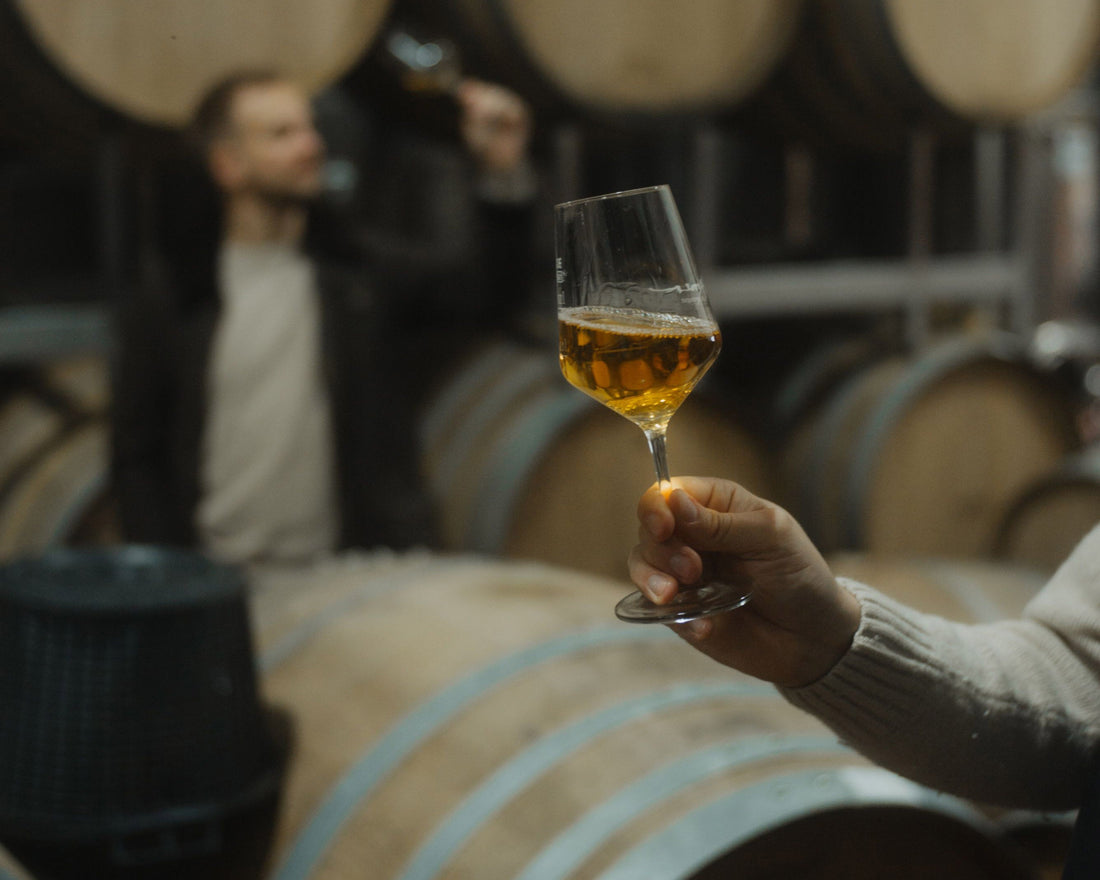 Orange Wine – was es mit dem „vierten Wein“ auf sich hat