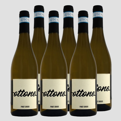 Ottone Pinot Grigio DOC